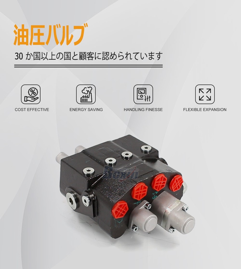 Mass Production of HSDM80-QTWDD-OTDD 2 Spool Directional Valves
